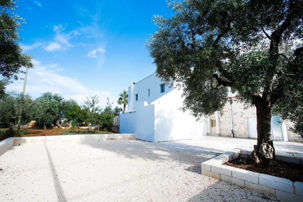 Bed and Breakfast Casa 801 à Monopoli Extérieur photo